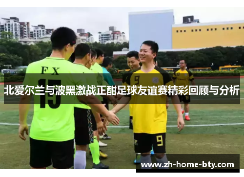 北爱尔兰与波黑激战正酣足球友谊赛精彩回顾与分析